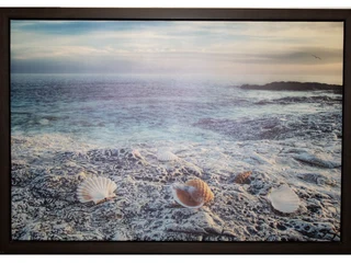 Shells On Beach Print (900 X 1350) Mahogany Frame Painting