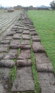 compost topsoil lawns and brownstones