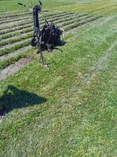 compost topsoil lawns and brownstones