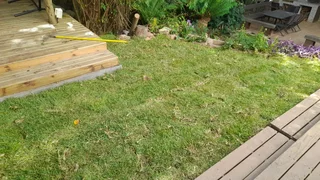 mixed brownstones lawns compost and topsoil