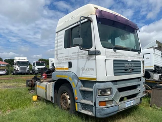 Man Tga For Stripping