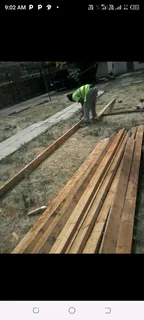 Oregon pine rafters and beams for sale in perfect condition