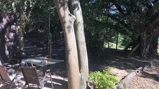 Countryside Flatlet in Colleen Glen