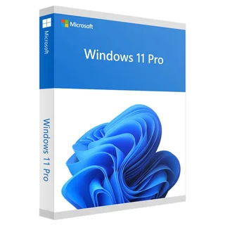 Windows 11 Professional OEM Key