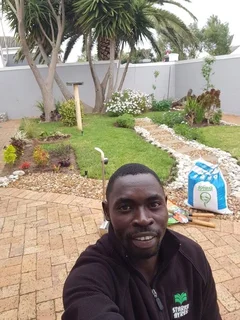 Reliable And Experience Gardener At