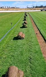 Wooden fence latle, bamboo and Roll on grass