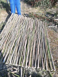 Wooden fence latle, bamboo and Roll on grass
