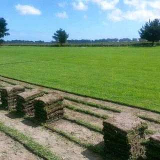 Wooden fence latle and Roll on grass