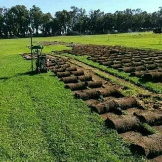 Wooden fence latle and Roll on grass