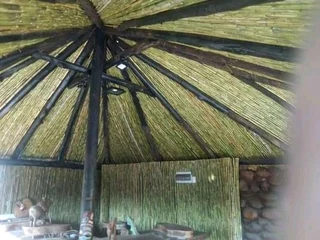 Wooden fence latle,bamboo and Roll on Grass