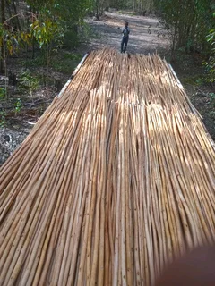 Wooden fence latle bamboo and Roll on grass