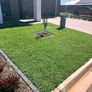 Wooden fence latle bamboo and Roll on grass