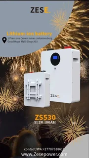 Lithium battery zese