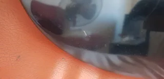 Guitar - Ad posted by Cella