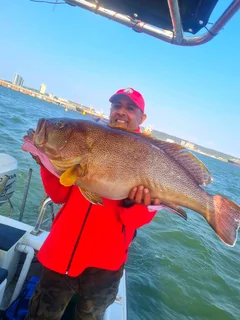 Durban fishing tours