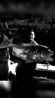 Durban fishing tours