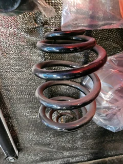 BMW E30 Rear Springs