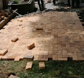 Fresh lawn and landscaping