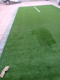 Fresh lawn and landscaping