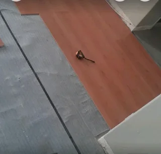 Handyman and Renovations