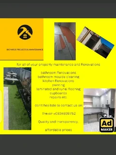 Handyman and Renovations