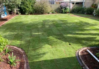 Evergreen Instant Grass