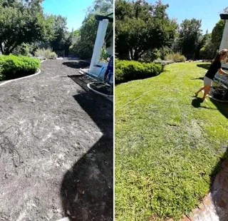 EVERGREEN INSTANT GRASS