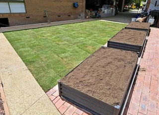 Kikuyu And Berea Grass