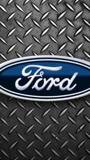 Ford diagnostics scan and reset