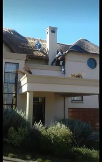 Lapa repairs and Thatching Services