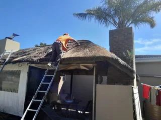 Affordable Thatch Roof Repairs &amp; Maintenance | 13 Years Experience