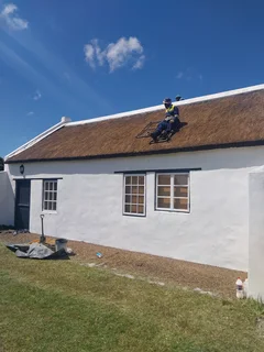 Lapa and Thatching Services for All Projects | New Roofs, Repairs & Maintenance