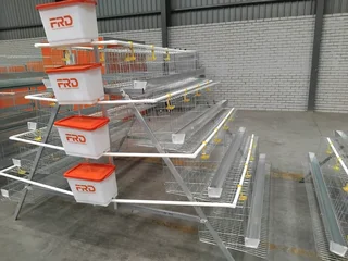 Chicken layer cages