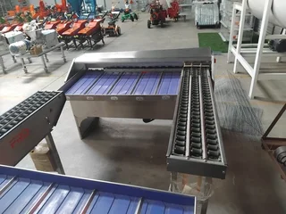 Chicken Egg Grader machine