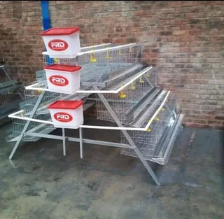 Chicken layer Cages