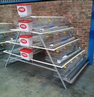 Chicken layer Cages