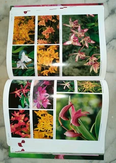 Orchid Book - Flora&#39;s Orchids