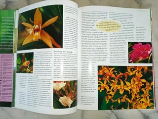 Orchid Book - Flora&#39;s Orchids