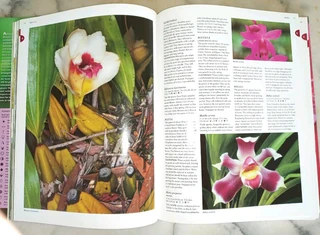 Orchid Book - Flora&#39;s Orchids