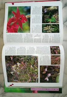 Orchid Book - Flora&#39;s Orchids