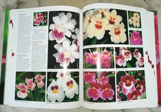 Orchid Book - Flora&#39;s Orchids