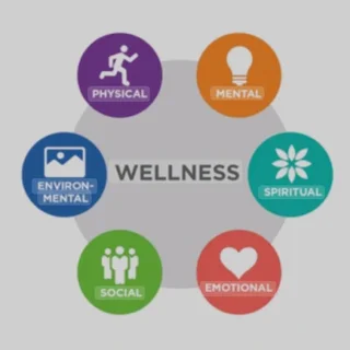 Dietician, Fitness Trainer, Herbal remedies, Wellness coach