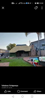Thatch roofs repairs