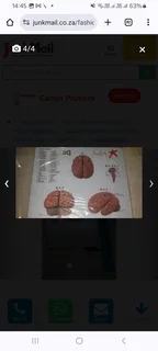 Educational Model of the human brain for students