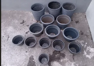 14 X Large Sanscape Pot Planters With 12 Saucers - Make Fair Offer.