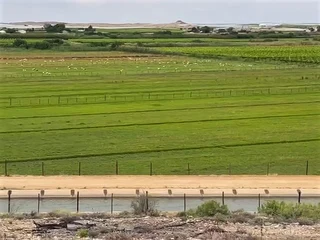 Small farm at Kakamas