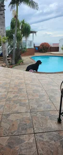 Property - Bluff Brighton Beach