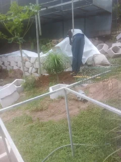 Looking for a job as a general worker