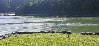 I buy Any Boats! Cash buyer!