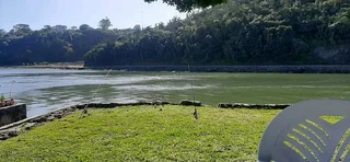 Any Boats Wanted! Cash Buyer!